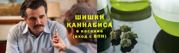 гашик Бородино
