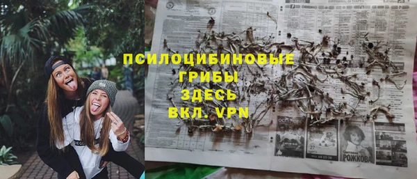 марки nbome Богородицк