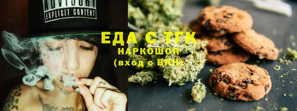 гашик Бородино