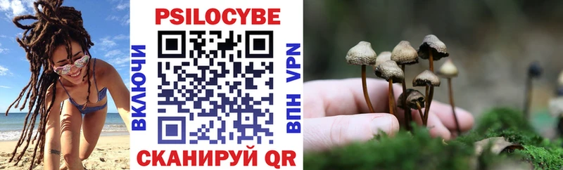 дарнет шоп  Вятские Поляны  Псилоцибиновые грибы GOLDEN TEACHER 